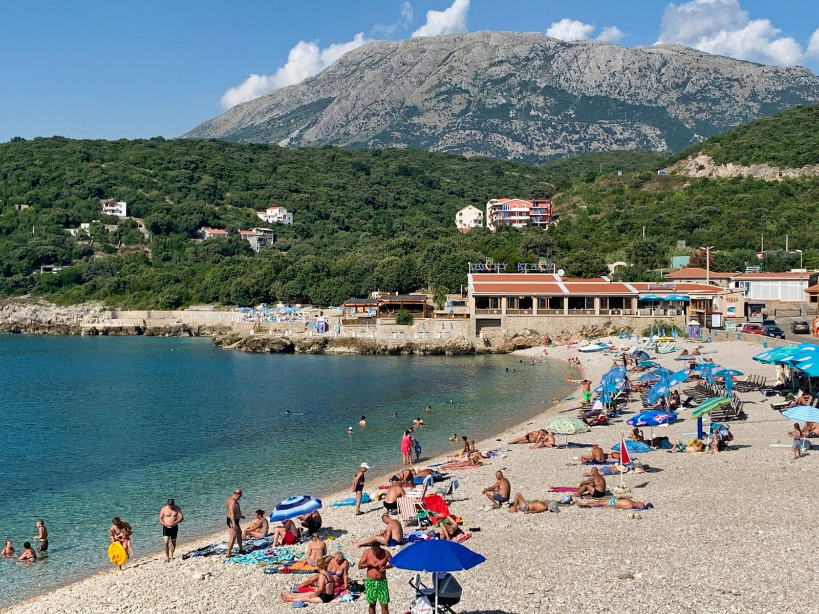 people on beach during daytime